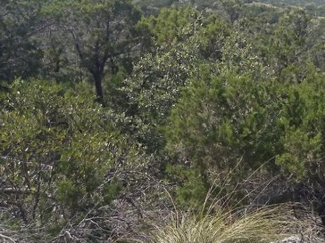 Land for sale in Pipe Creek, Texas