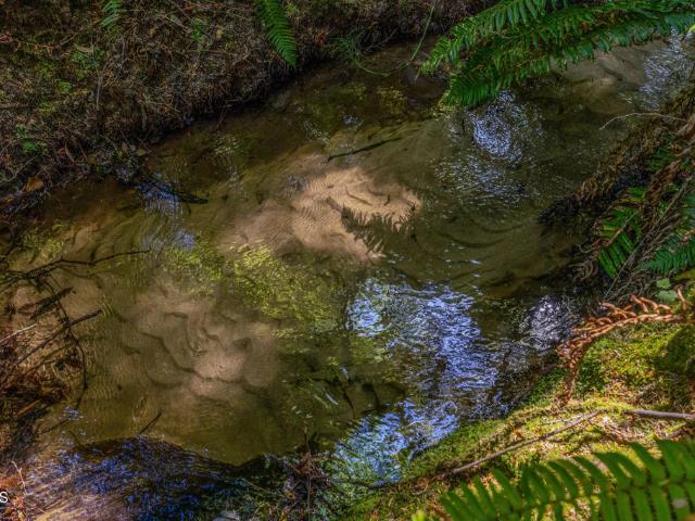 Land for sale in Fort Bragg, Mendocino County