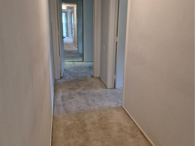 Property for rent in Laguna Woods, California