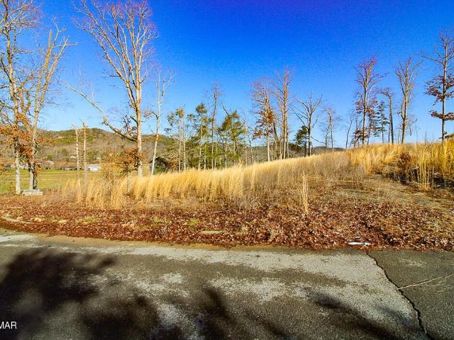 Land for sale in Tennessee