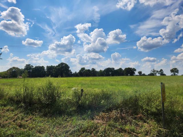 Land for sale in Titus, Texas