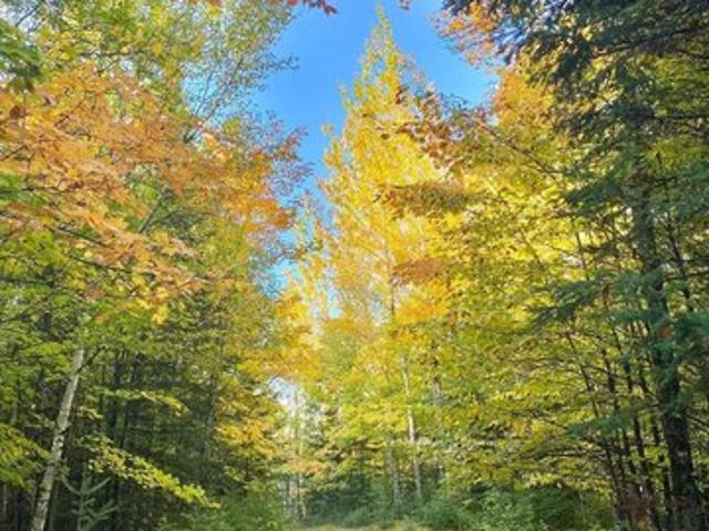 Land for sale in Mercer, Wisconsin