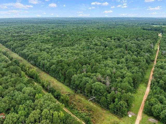 Land for sale in Harrison, Texas