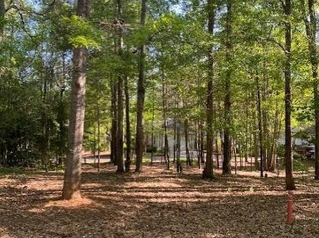 Land for sale in Pine Mountain, Georgia
