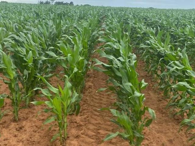 Farm for sale in Eastern Cape