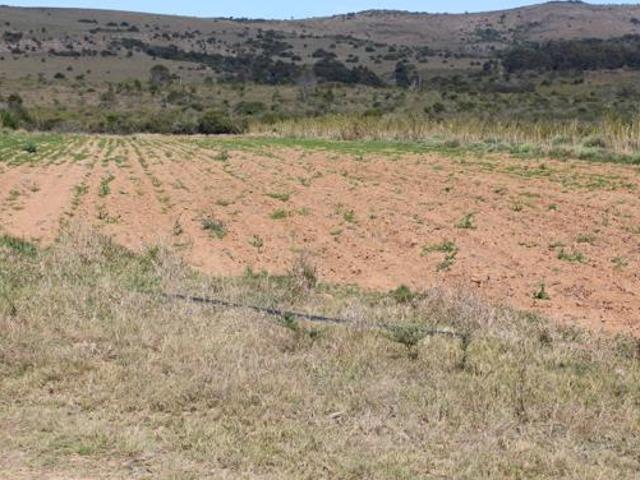 Farm for sale in Bushmans River Mouth, Eastern Cape