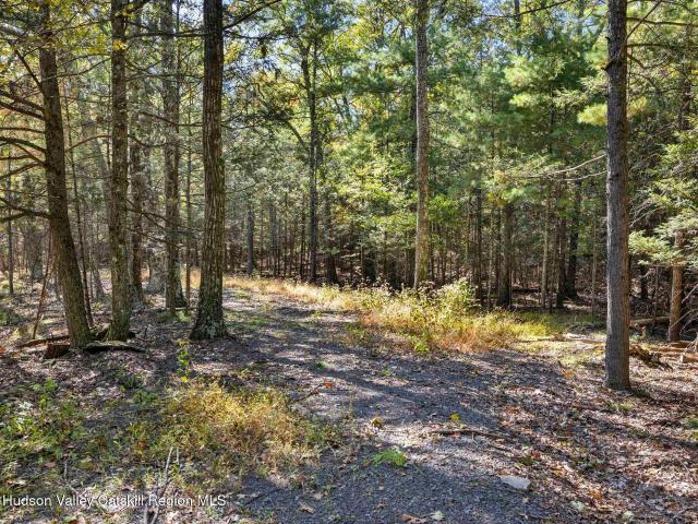 Land for sale in Town of Woodstock, Ulster County