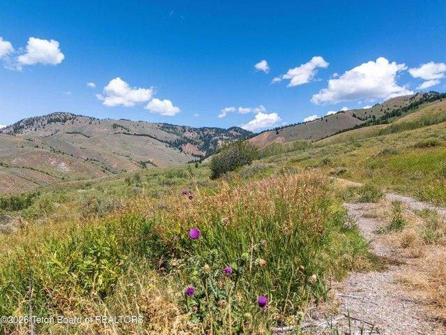 Land for sale in Wyoming