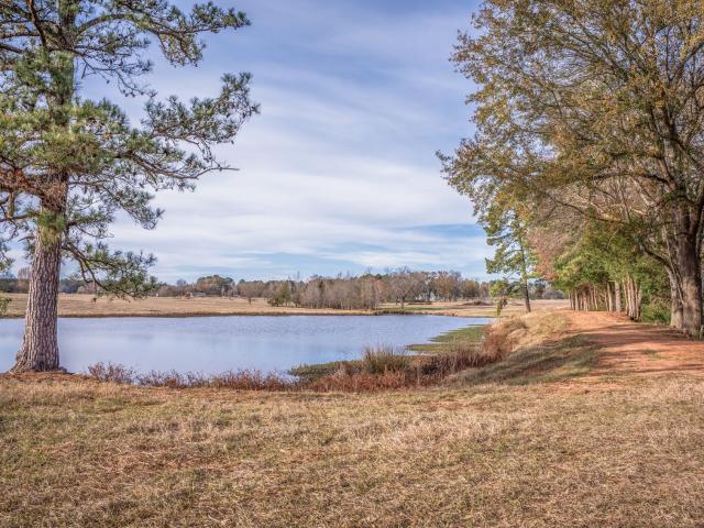 Property for sale in Texas