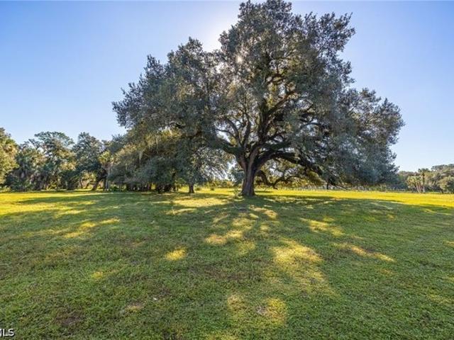 Land for sale in Alva