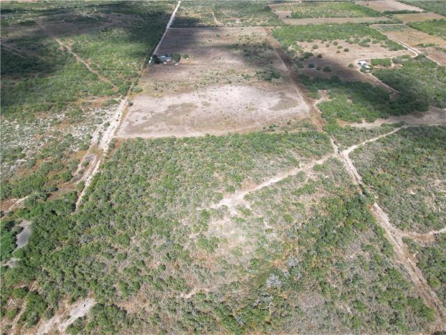 Land for sale in Freer, Duval County