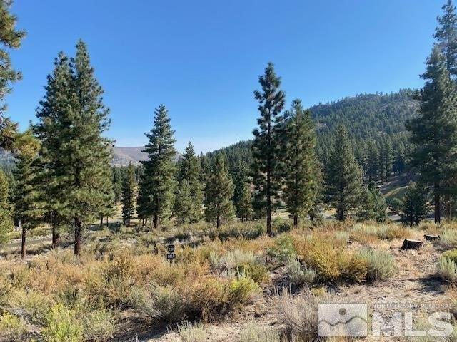 Land for sale in Carson City, Nevada