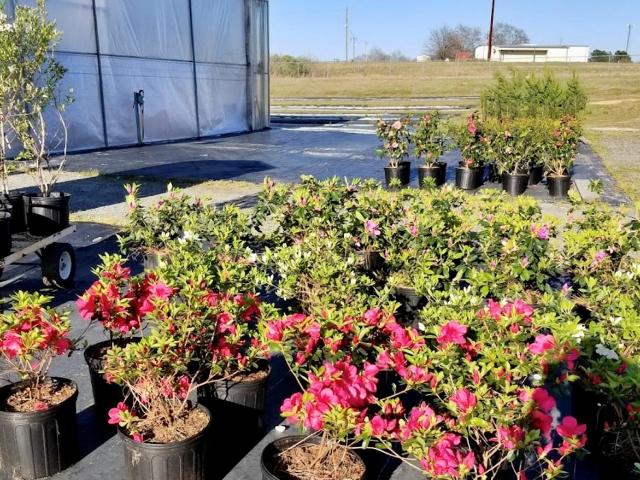 Commercial for sale in South Carolina