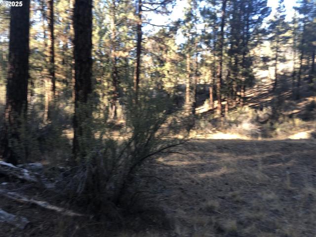 Land for sale in Oregonia