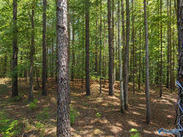 House for sale in Alabama