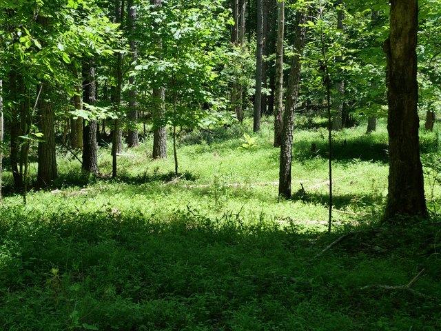 Land for sale in Tennessee