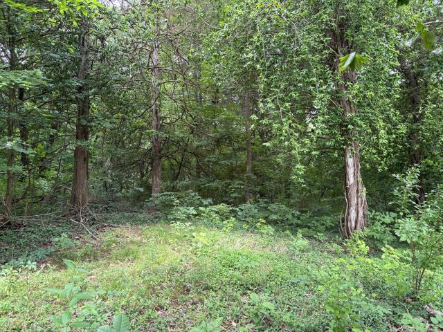 Land for sale in Carbondale, Illinois
