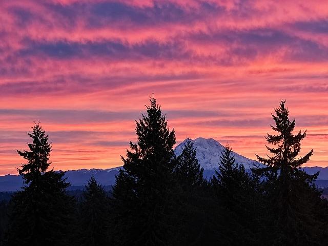 House for sale in Thurston, Washington