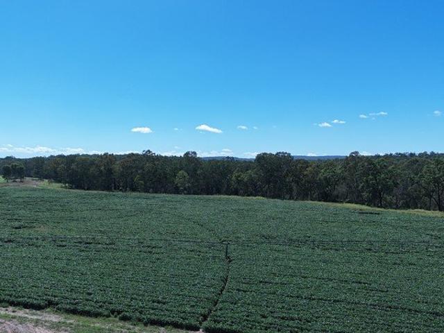 Cottage for sale in Cynthia, Queensland
