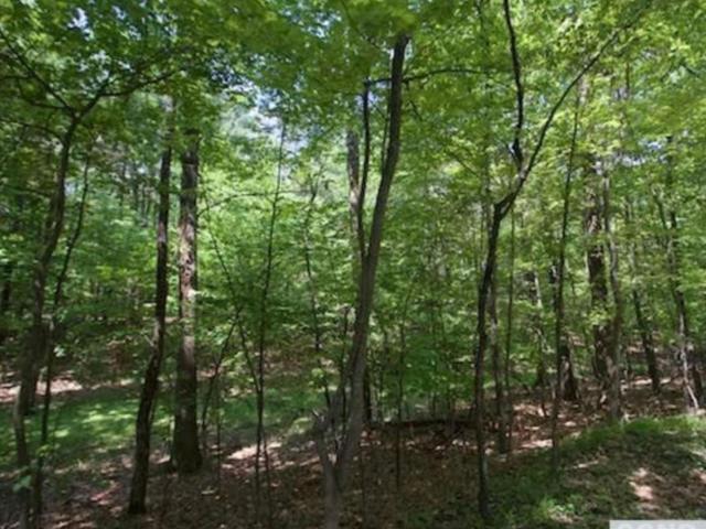 Land for sale in Chatham, New York