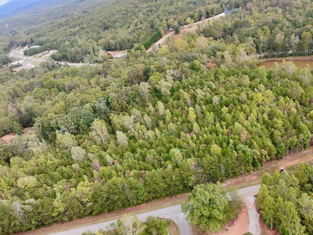 House for sale in Clarkesville, Georgia