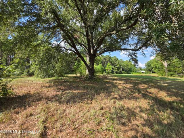 Land for sale in Prentiss, Mississippi