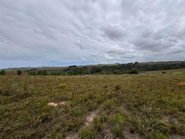 Land for sale in Cape St Francis, Eastern Cape