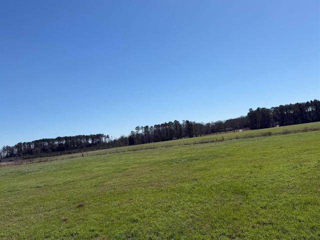 Land for sale in Greenville, Alabama