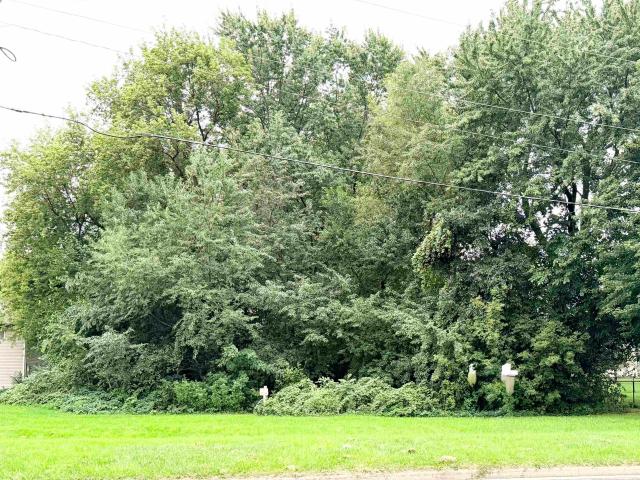Land for sale in Wisconsin