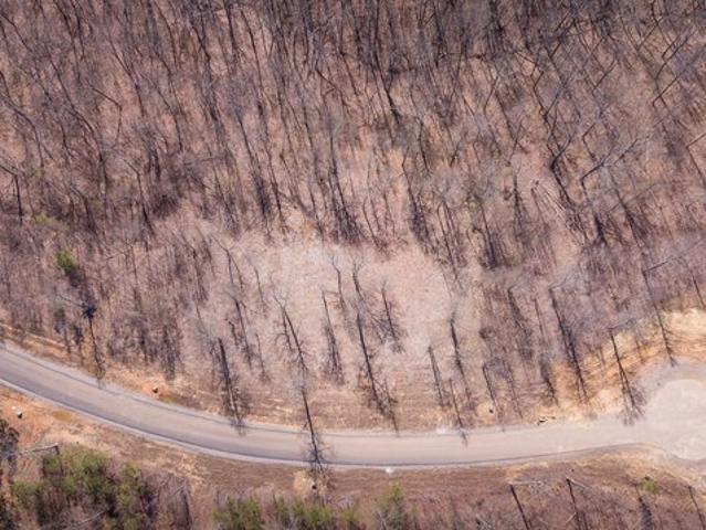 Farm for sale in Tennessee