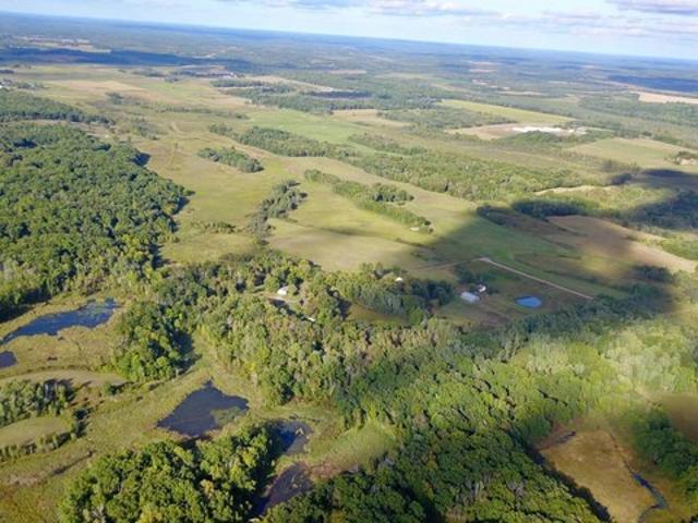 Land for sale in Todd, Minnesota