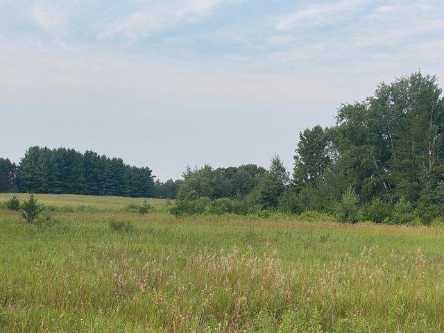 Land for sale in Princeton, Minnesota