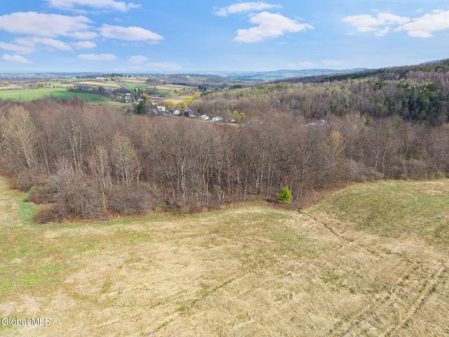 Land for sale in Roseboom, New York