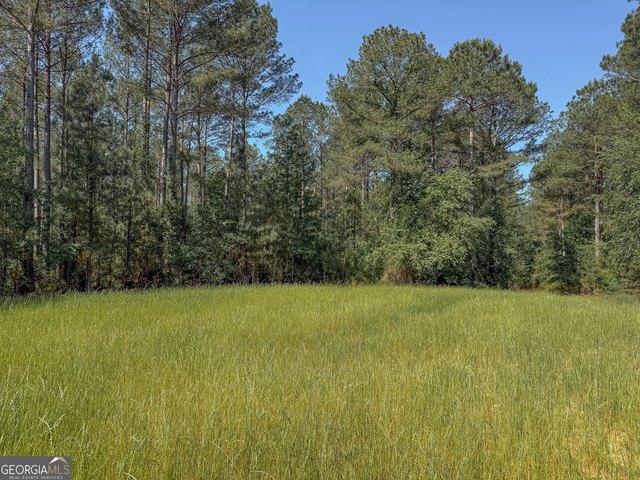 Land for sale in Webster, Georgia