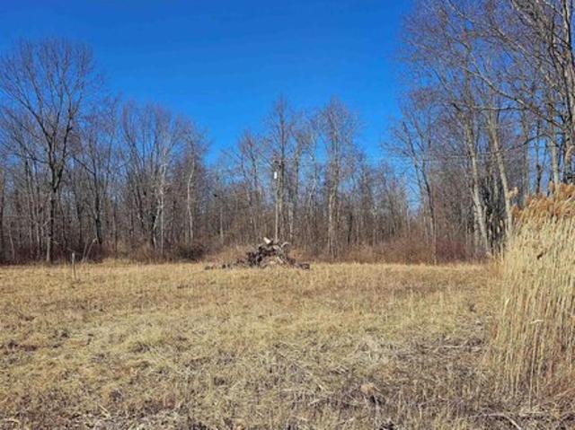 Land for sale in Michigan