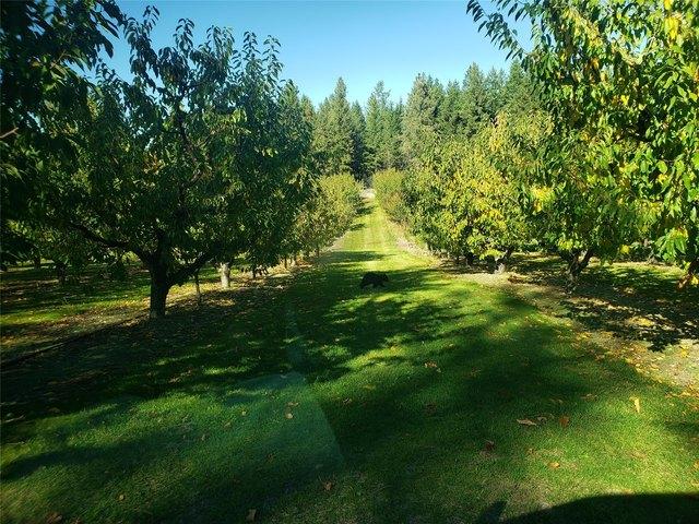 Land for sale in Polson, Montana