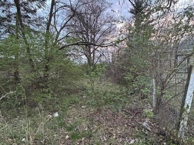 Land for sale in Camby, Indiana