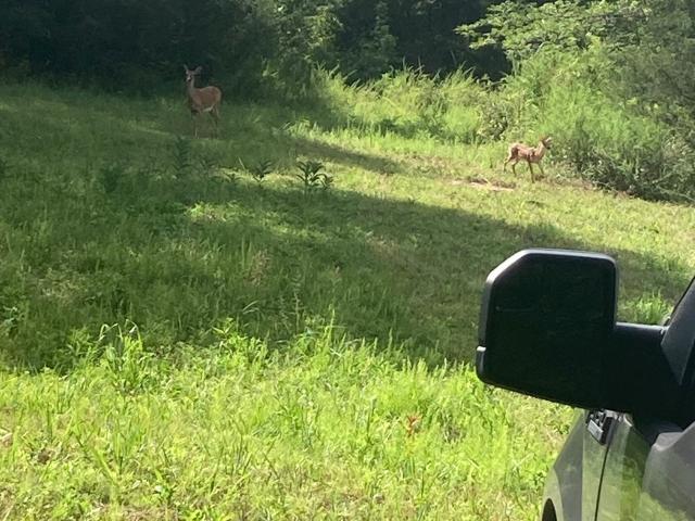 Land for sale in Tennessee