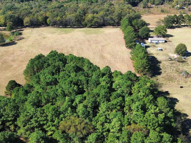 Land for sale in Titus, Texas
