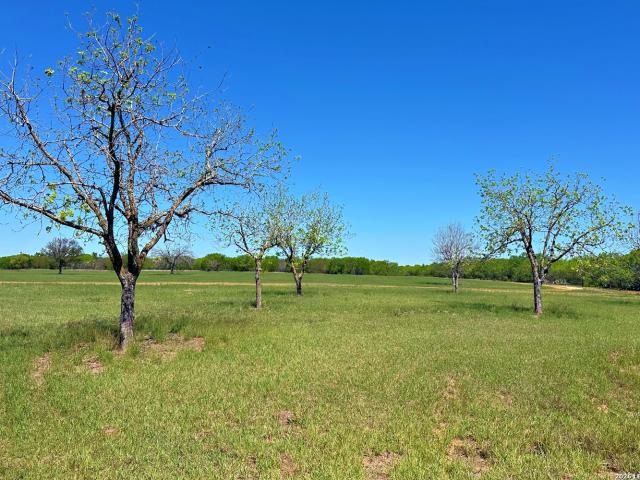 Land for sale in Jourdanton, Texas