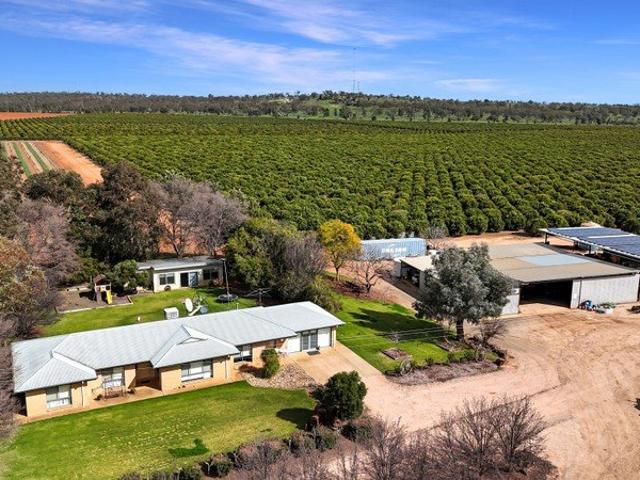 Property for sale in Widgelli, Griffith City Council