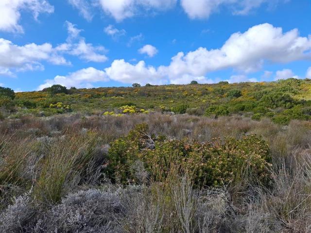 Farm for sale in Groot Brak Rivier, Western Cape