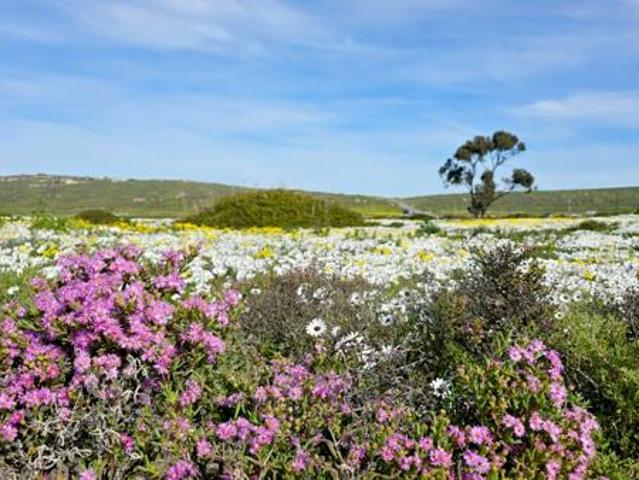 Land for sale in Western Cape