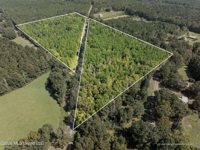 Land for sale in Tylertown, Walthall County