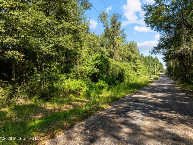 Land for sale in Tylertown, Walthall County