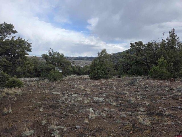 Land for sale in South Fork, Rio Grande County