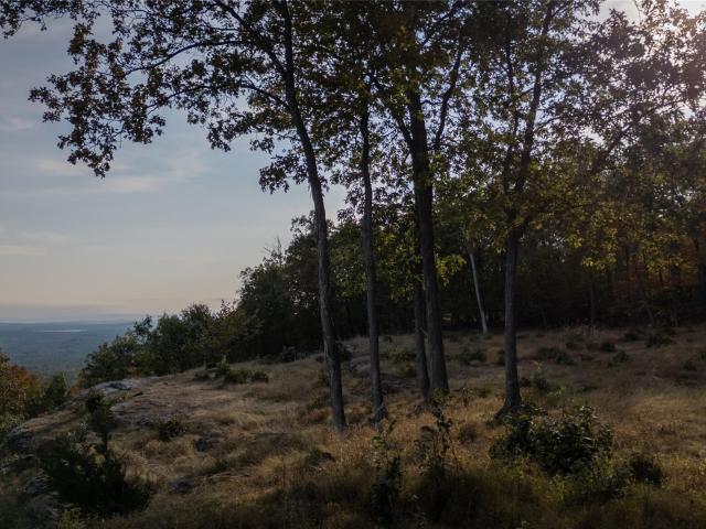 Land for sale in Bearsville, New York