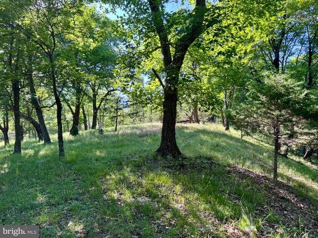 Land for sale in Petersburg, West Virginia