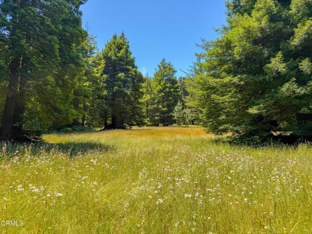 Land for sale in Fort Bragg, California