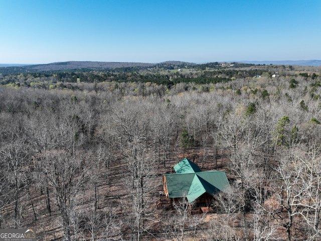 Land for sale in Upson, Georgia